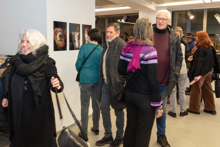 Netz_Ausstellung Kufstein (6)